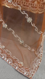 Rust Orange Butterfly Net Hand-Embroidered Lehenga Ensemble